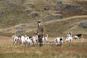 Hounds photographs by Neil Salisbury Betty Fold Gallery